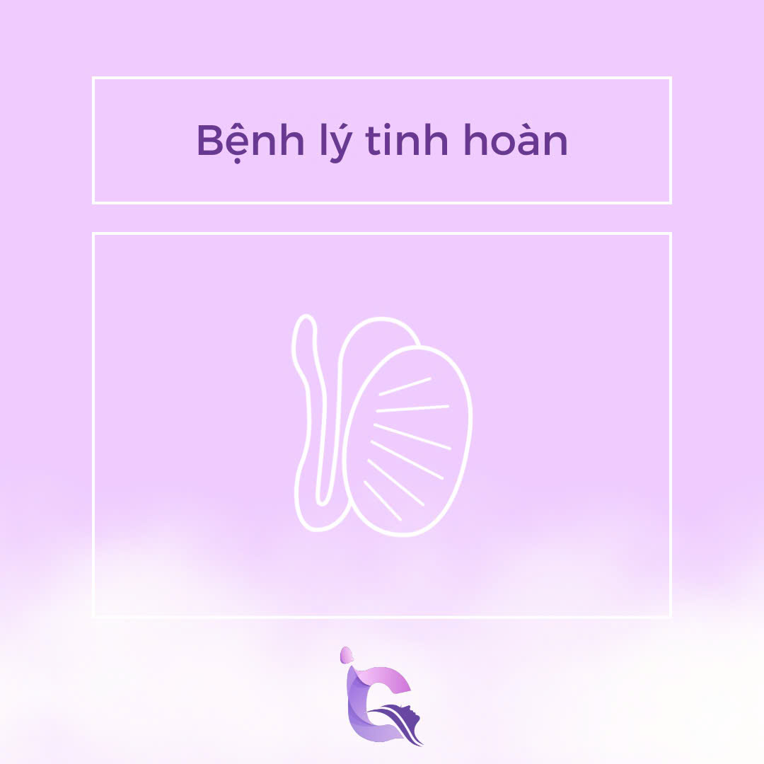 BỆNH LÝ TÍNH HOÀN